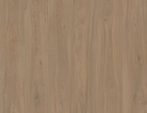 Montana Hickory