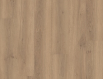 Spenser Oak