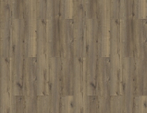 Western Oak